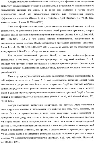 Способ расщепления полипептидов с использованием варианта протеазы оmpт (патент 2395582)