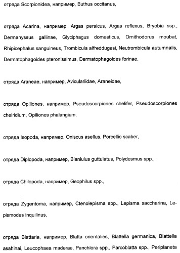 Цис-алкоксизамещенные спироциклические производные 1-h- пирролидин-2, 4-диона в качестве средств защиты от вредителей (патент 2340601)