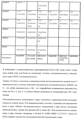 Растения, имеющие улучшенные характеристики роста, и способы их получения (патент 2463352)