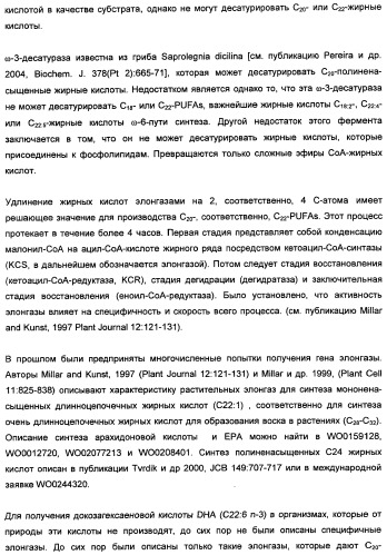 Способ получения полиненасыщенных кислот жирного ряда в трансгенных организмах (патент 2447147)