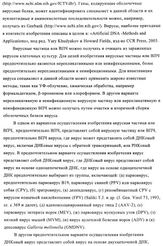 Упакованные иммуностимулирующей нуклеиновой кислотой частицы, предназначенные для лечения гиперчувствительности (патент 2451523)