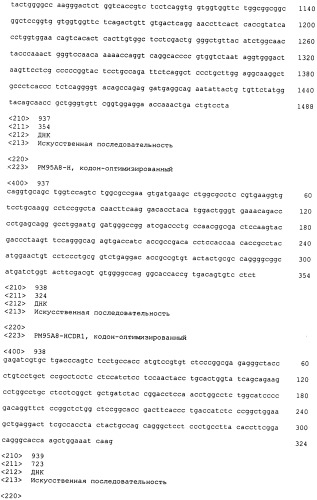 Psma×cd3 биспецифическое одноцепочечное антитело с межвидовой специфичностью (патент 2559531)