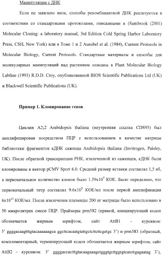 Растения с повышенной урожайностью и способ их получения (патент 2377306)