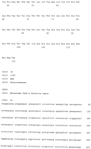 Brassica juncea качества омега-9 (патент 2557316)