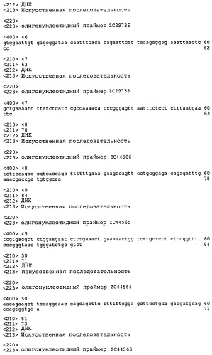 Гомогенные препараты il-28 и il-29 (патент 2518324)