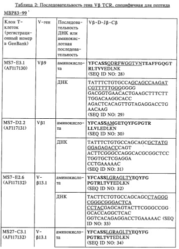 V-d-j олигонуклеотид т-клеточного рецептора, пара праймеров, олигонуклеотидный зонд, способ обнаружения клона mbp83-99v13.1 т-клеток, экспрессирующих мотив lgraglty т-клеточного рецептора, набор, способ лечения аутоиммунного заболевания и способ его мониторинга (патент 2251552)