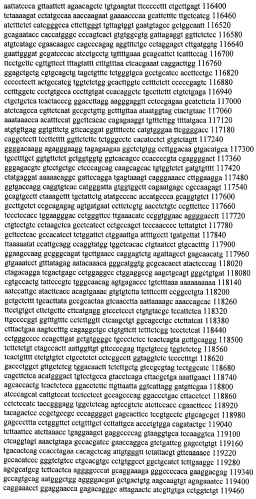 Модуляция экспрессии гентингтина (патент 2562861)