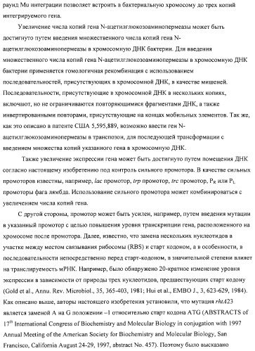 Способ получения l-аминокислот с использованием бактерии, принадлежащей к роду escherichia (патент 2312893)