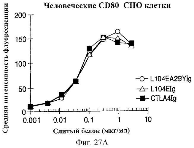 Способы лечения ревматических заболеваний с применением растворимого ctla4 (патент 2287340)