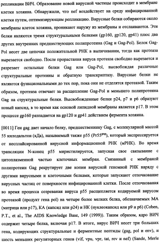 Иммуногенная композиция и способ разработки вакцины, основанной на участках матричного белка вич (патент 2403915)