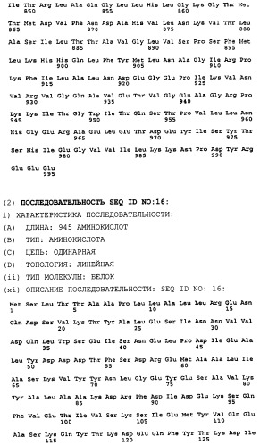 Полипептид, обладающий способностью связываться с внутриклеточным доменом p-55 tnf-рецептора, молекула днк, кодирующая этот полипептид, вектор экспрессии и способ получения полипептида (патент 2273664)