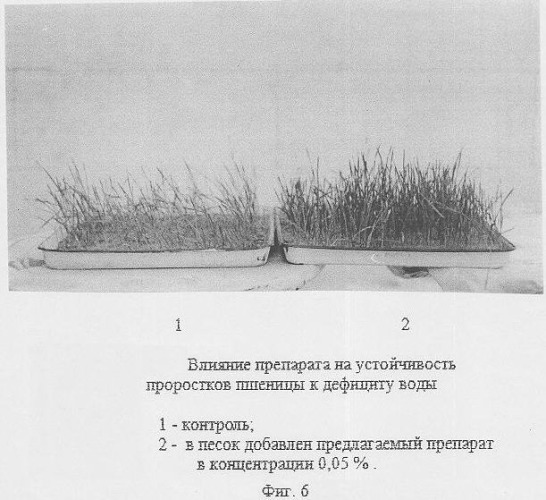 Препарат для стимуляции проращивания семян и повышения устойчивости проростков к дефициту влаги и способ его получения (патент 2337543)