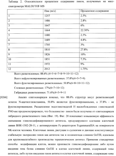 Конструкции слияния и их применение для получения антител с повышенными аффинностью связывания fc-рецептора и эффекторной функцией (патент 2407796)