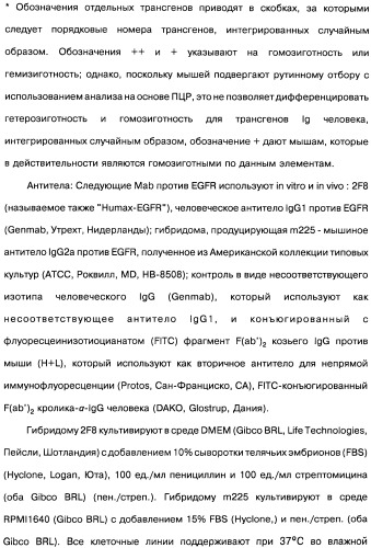 Человеческие моноклональные антитела к рецептору эпидермального фактора роста (egfr), способ их получения и их использование, гибридома, трансфектома, трансгенное животное, экспрессионный вектор (патент 2335507)