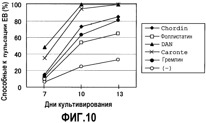 Способ индукции дифференциации стволовых клеток в миокардиальные (патент 2392315)