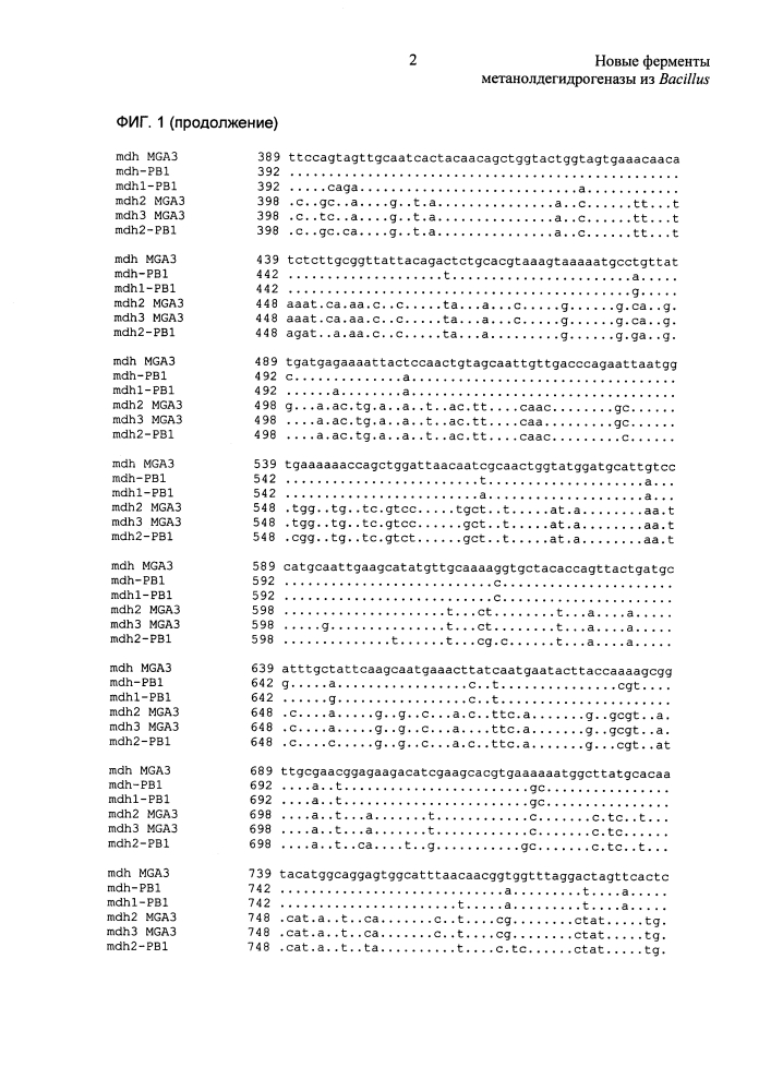 Новые ферменты метанолдегидрогеназы из bacillus (патент 2624017)