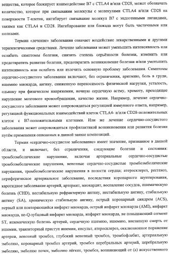 Способ лечения сердечно-сосудистого заболевания с применением растворимого ctla4 (патент 2353384)