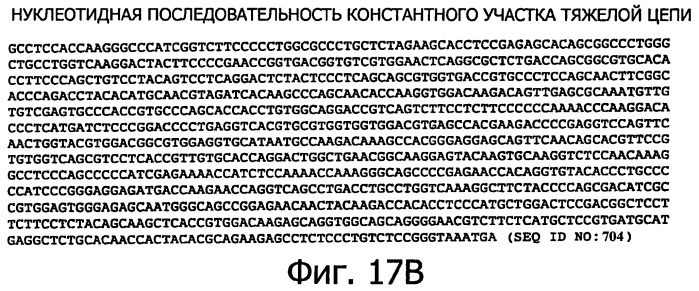 Белки, связывающие антиген фактор роста, подобный гепаринсвязывающему эпидермальному фактору роста (патент 2504551)