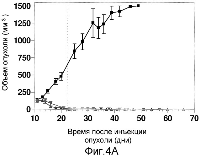 Конъюгаты, содержащие гидрофильные спейсеры линкеров (патент 2523909)