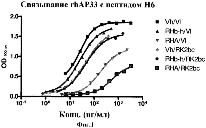 Антитела против вируса гепатита с (патент 2462475)