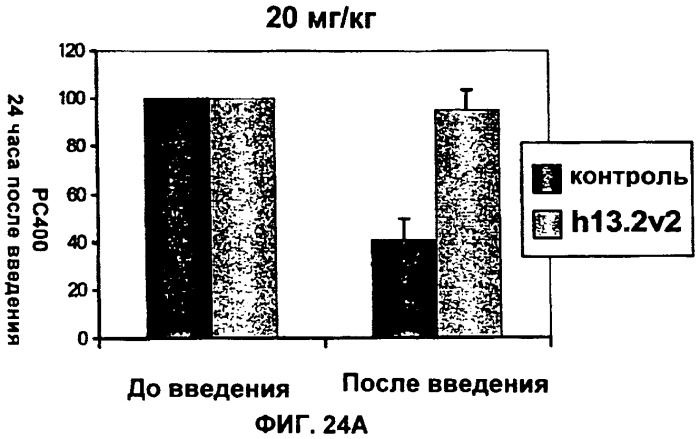 Антитела против интерлейкина-13 человека и их применение (патент 2427589)