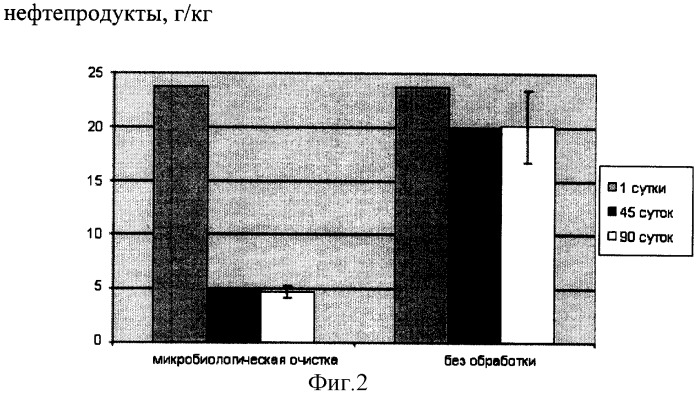 Способ микробиологической очистки нефтяных шламов и загрязненного нефтепродуктами грунта (варианты) (патент 2311237)