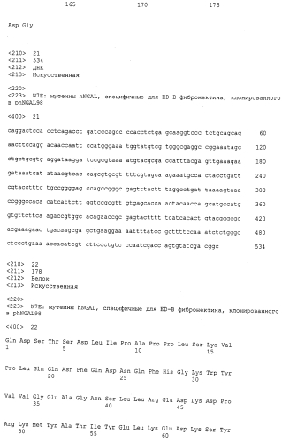 Мутеины липокалина 2 человека (lcn2, hngal) с аффинностью для определенной мишени (патент 2564125)