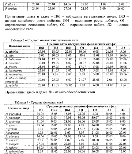 Способ прогноза перспективности сосновых в условиях культуры ex situ (патент 2552955)