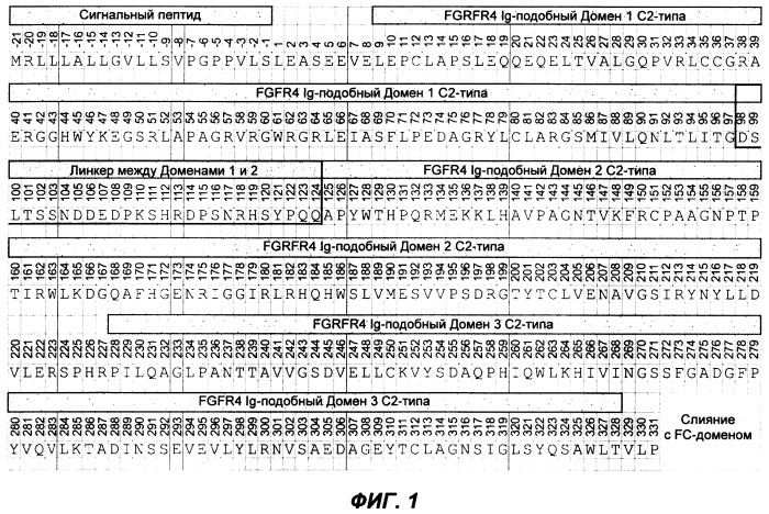 Мутеины кислотной зоны внеклеточного домена рецептора фактора роста фибробластов (патент 2509774)