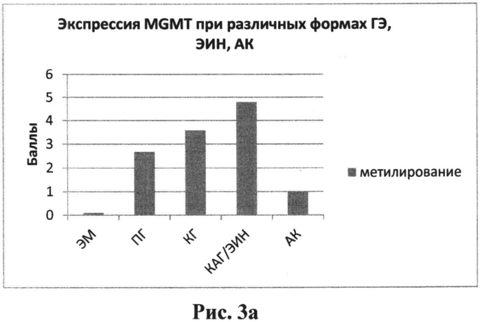 Способ дифференциальной диагностики высокодифференцированной эндометриоидной аденокарциномы тела матки у пациенток перименопаузального периода (патент 2561677)