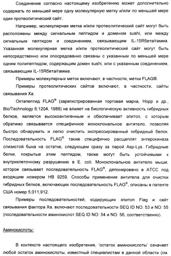 Соединение, предназначенное для стимуляции пути передачи сигнала через il-15rбета/гамма, с целью индуцировать и/или стимулировать активацию и/или пролиферацию il-15rбета/гамма-положительных клеток, таких как nk-и/или t-клетки, нуклеиновая кислота, кодирующая соединение, вектор экспрессии, клетка-хозяин, адъювант для иммунотерапевтической композиции, фармацевтическая композиция и лекарственное средство для лечения состояния или заболевания, при котором желательно повышение активности il-15, способ in vitro индукции и/или стимуляции пролиферации и/или активации il-15rбета/гамма-положительных клеток и способ получения in vitro активированных nk-и/или t-клеток (патент 2454463)