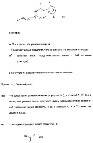 Цис-алкоксизамещенные спироциклические производные 1-h- пирролидин-2, 4-диона в качестве средств защиты от вредителей (патент 2340601)