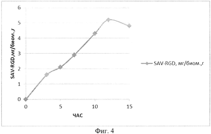 Способ получения рекомбинантного белка sav-rgd (патент 2577138)