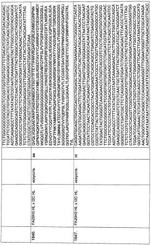 Pscaxcd3, cd19xcd3, c-metxcd3, эндосиалинxcd3, epcamxcd3, igf-1rxcd3 или fap-альфаxcd3 биспецифическое одноцепочечное антитело с межвидовой специфичностью (патент 2547600)