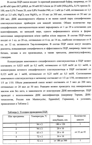 Дифференцирующий и специфический олигонуклеотиды для идентификации последовательностей днк инфекционных агентов в биологических материалах, способ видовой идентификации инфекционных агентов, биочип и набор для осуществления этого способа (патент 2348695)