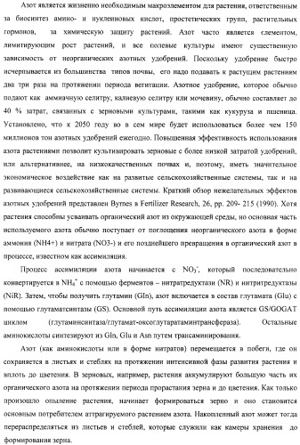 Изолированные полипептиды, кодирующие их полинуклеотиды, экспрессирующие их трансгенные растения и способы их использования (патент 2487166)