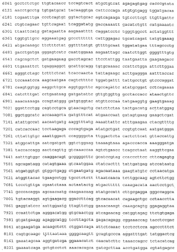 Применение s1p (патент 2362565)
