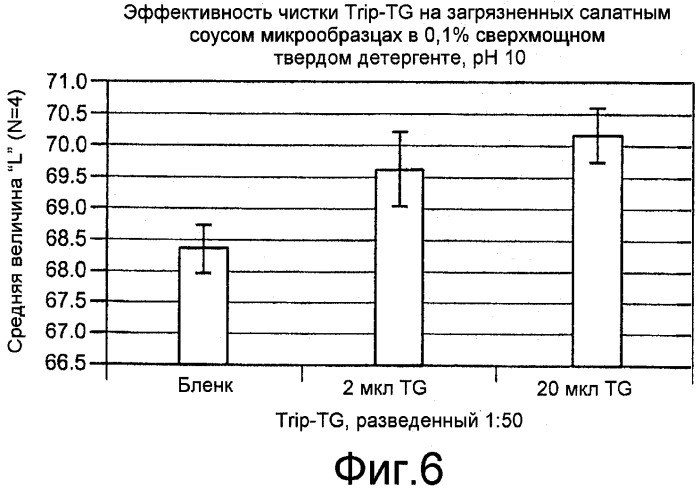 Чистящие композиции, содержащие трансглюкозидазу (патент 2501855)