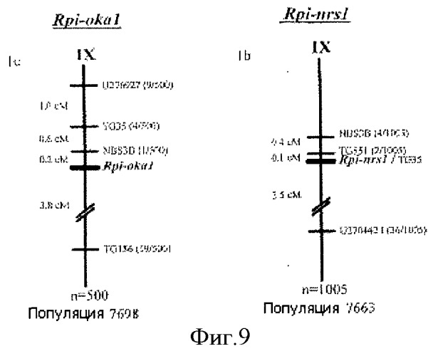 Гены и способы обеспечения устойчивости к фитофторозу пасленовых (патент 2511423)