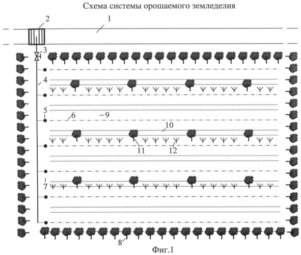 Способ орошаемого земледелия в аридной зоне и система для его реализации (патент 2451445)