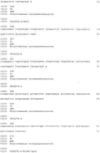 Pscaxcd3, cd19xcd3, c-metxcd3, эндосиалинxcd3, epcamxcd3, igf-1rxcd3 или fap-альфаxcd3 биспецифическое одноцепочечное антитело с межвидовой специфичностью (патент 2547600)