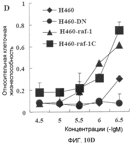 Онкогенное ras-специфичное цитотоксическое соединение и способы его применения (патент 2448703)