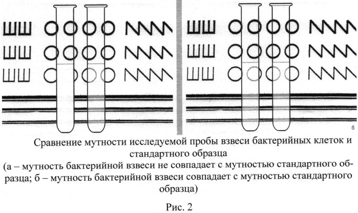 Способ получения стандартного образца мутности бактериальных взвесей, стандартный образец мутности бактерийных взвесей, его применение, набор содержащий стандартный образец мутности бактерийных взвесей (патент 2539783)