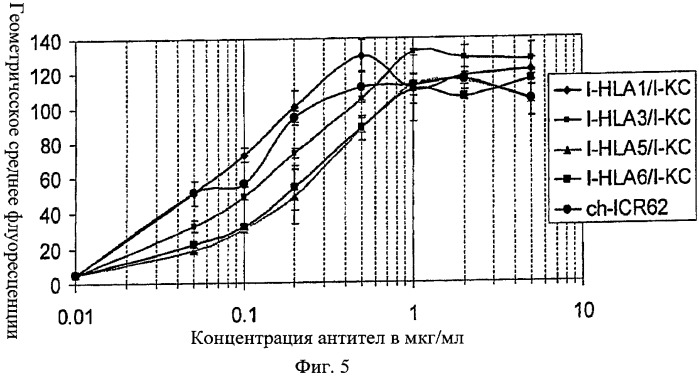 Антигенсвязывающие молекулы, которые связывают рецептор эпидермального фактора роста (egfr), кодирующие их векторы и их применение (патент 2457219)