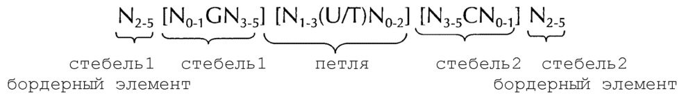 Искусственные молекулы нуклеиновых кислот для улучшенной экспрессии белков или пептидов (патент 2658490)