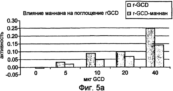 Продуцирование высокоманнозных белков в растительных культурах (патент 2385928)