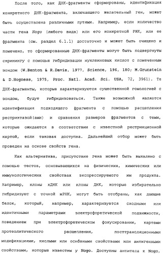 Поликлональное антитело против nogo, фармацевтическая композиция и применение антитела для изготовления лекарственного средства (патент 2432364)