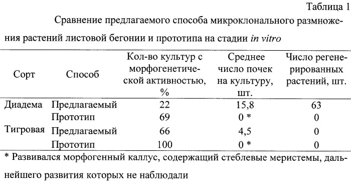 Способ микроклонального размножения листовой бегонии (патент 2290786)