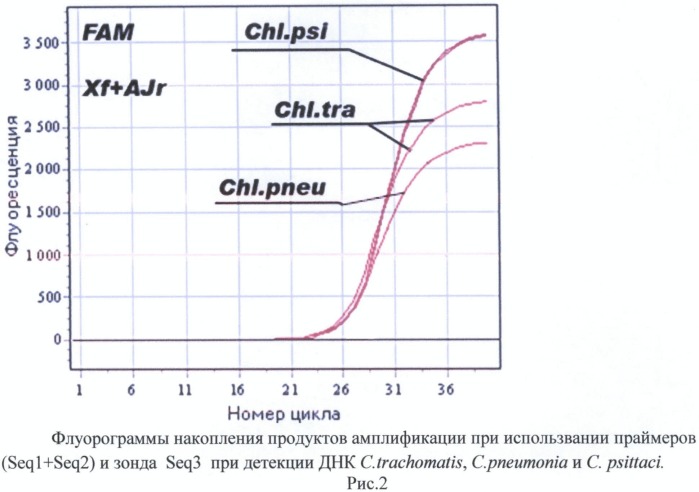 Олигонуклеотиды и способ определения днк бактерий, относящихся к семейству chlamydiaceae (патент 2486255)