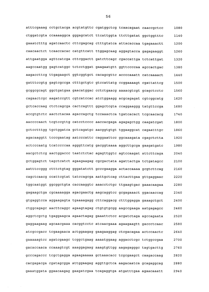 Подавление экспрессии генов у насекомых-вредителей (патент 2653752)